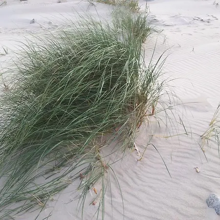 Апартаменты Turkusowa Przystan