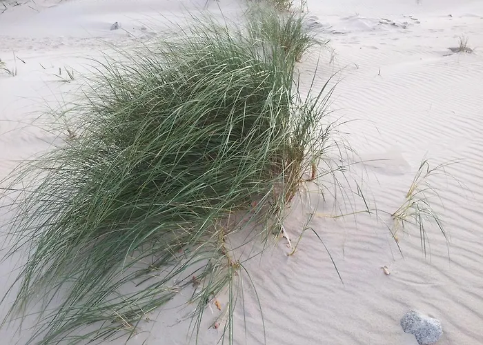 Апартаменты Turkusowa Przystan